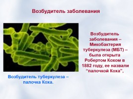 Защити себя от туберкулеза!, слайд 5