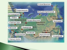 Исследовательская работа «Заповедники и национальные парки России», слайд 4