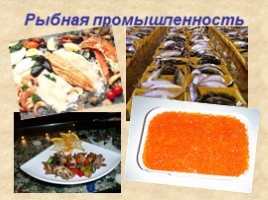 Легкая и пищевая промышленность России, слайд 14