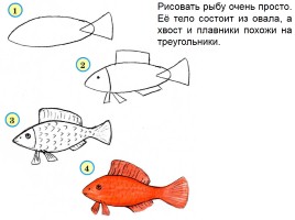 Рисуем рыб, слайд 2