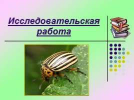 Исследовательская работа «Изучение изменчивости фенетических признаков колорадского жука», слайд 1