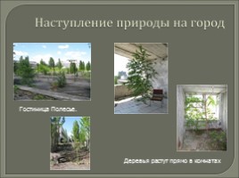 Чернобыльская трагедия, слайд 33
