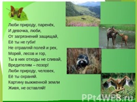 Животные Курска и Курской области, слайд 111