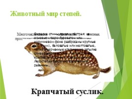 Животные Курска и Курской области, слайд 70