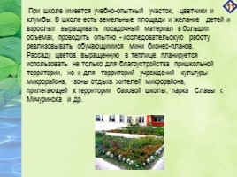 Проект «Агробизнес - образование в условиях реализации ландшафтного дизайна на базе МБОУ СОШ №19», слайд 11