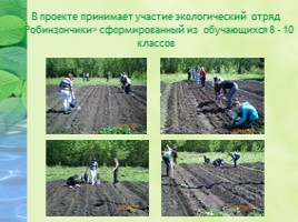 Проект «Агробизнес - образование в условиях реализации ландшафтного дизайна на базе МБОУ СОШ №19», слайд 7