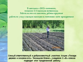 Проект «Агробизнес - образование в условиях реализации ландшафтного дизайна на базе МБОУ СОШ №19», слайд 8