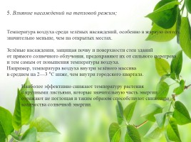 Влияние зелёных насаждений на окружающую среду Нижегородской области, слайд 17