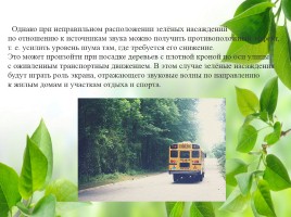 Влияние зелёных насаждений на окружающую среду Нижегородской области, слайд 26