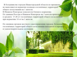 Влияние зелёных насаждений на окружающую среду Нижегородской области, слайд 33