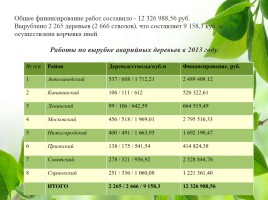 Влияние зелёных насаждений на окружающую среду Нижегородской области, слайд 39