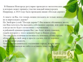 Влияние зелёных насаждений на окружающую среду Нижегородской области, слайд 40