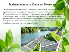 Влияние зелёных насаждений на окружающую среду Нижегородской области, слайд 41