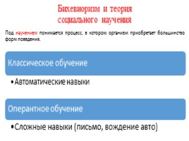 Теории психического развития в зарубежной психологии, слайд 7