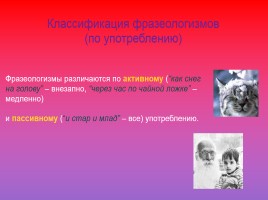 Проект по русскому языку по теме «Фразеологизмы», слайд 26