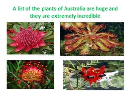 Проект «Достопримечательности Австралии - Landmarks of Australia», слайд 13