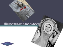 История зарождения космонавтики в СССР и США, слайд 17