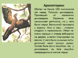Древние растения и животные, слайд 3