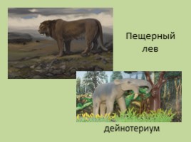 Древние растения и животные, слайд 7