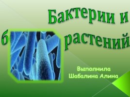 Бактерии и болезни растений
