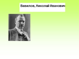 Биологи во время Великой Отечественной войны, слайд 26