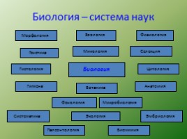 Биология - наука о жвом мире - Общие свойства живых организмов, слайд 5