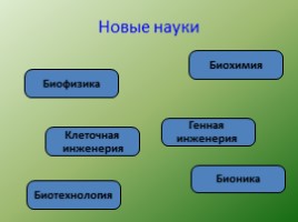 Биология - наука о жвом мире - Общие свойства живых организмов, слайд 6