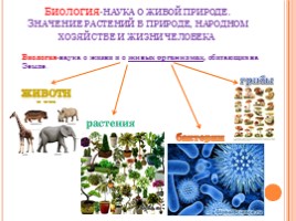 Биология - наука о живой природе, слайд 1