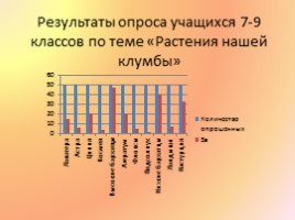 Благоустройство пришкольной территории, слайд 17