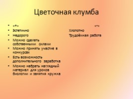 Благоустройство пришкольной территории, слайд 6