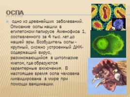 Вирусные заболевания животных, слайд 7