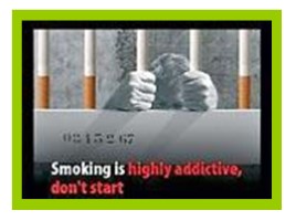 Исследовательская работа «Вред курения», слайд 25