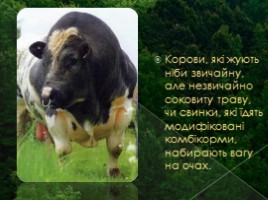 Негативні аспекти використання ГМО (на украинском языке), слайд 5