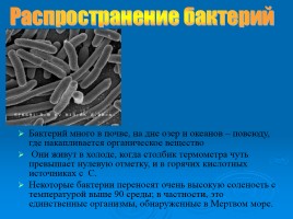 Бактерии, слайд 17