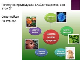 Деление живых организмов на группы, слайд 22