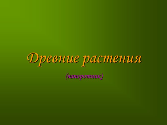 Древние растения «Папоротник»