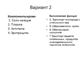 Зачёт по теме «Кровообращение», слайд 23