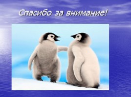 Императорские пингвины, слайд 22