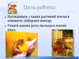 Исследовательская работа «Исследование цветочной пыльцы», слайд 2