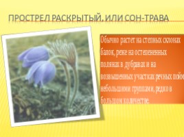 Красная книга Белгородской области, слайд 5