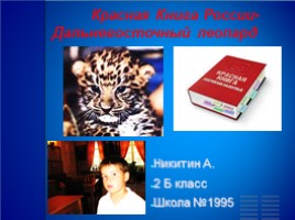 Красная книга России «Дальневосточный леопард», слайд 1
