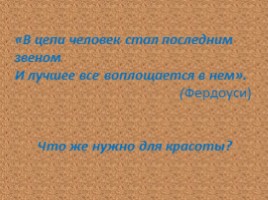 Красота как биологическая целесообразность, слайд 4