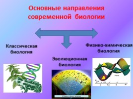 Краткая история биологии - Методы исследования в биологии, слайд 3