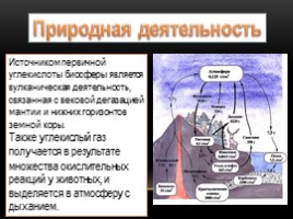 Круговорот углекислого газа в природе, слайд 8