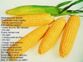 Культурные растения «Кукуруза», слайд 13
