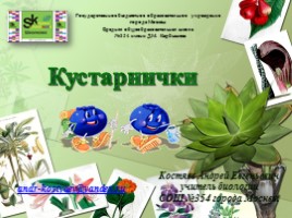 Кустарнички, слайд 1