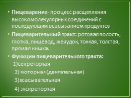 Лекция по теме «Пищеварение», слайд 7