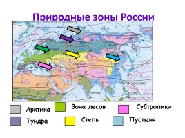 Природные зоны России, слайд 7