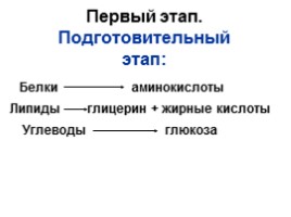 Обмен веществ - Этапы и особенности метаболизма, слайд 19