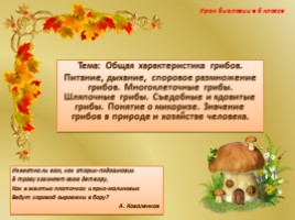 Общая характеристика грибов - Шляпочные грибы, слайд 1